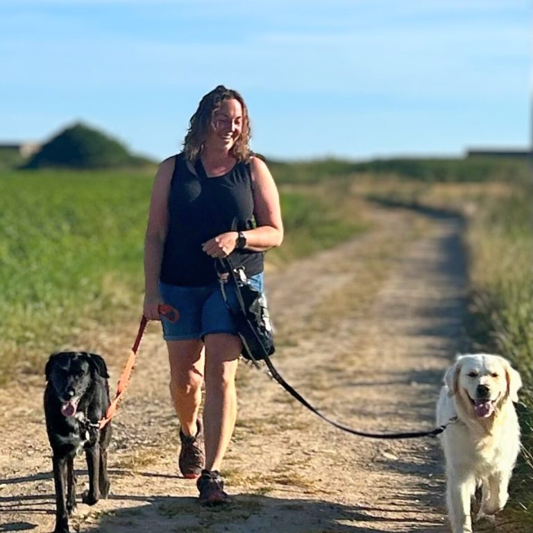 relaxed dog walking A woman walks two dogs on a path through green fields under a blue sky.
